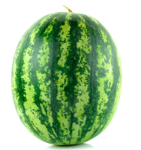 Elizabeth Banks' Whohaha-Watermelon