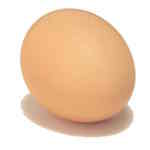 Elizabeth Banks' Whohaha-Egg